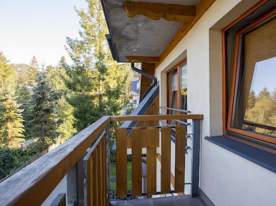 Apartament Egzotyczny Bory 扎科帕内 外观 照片