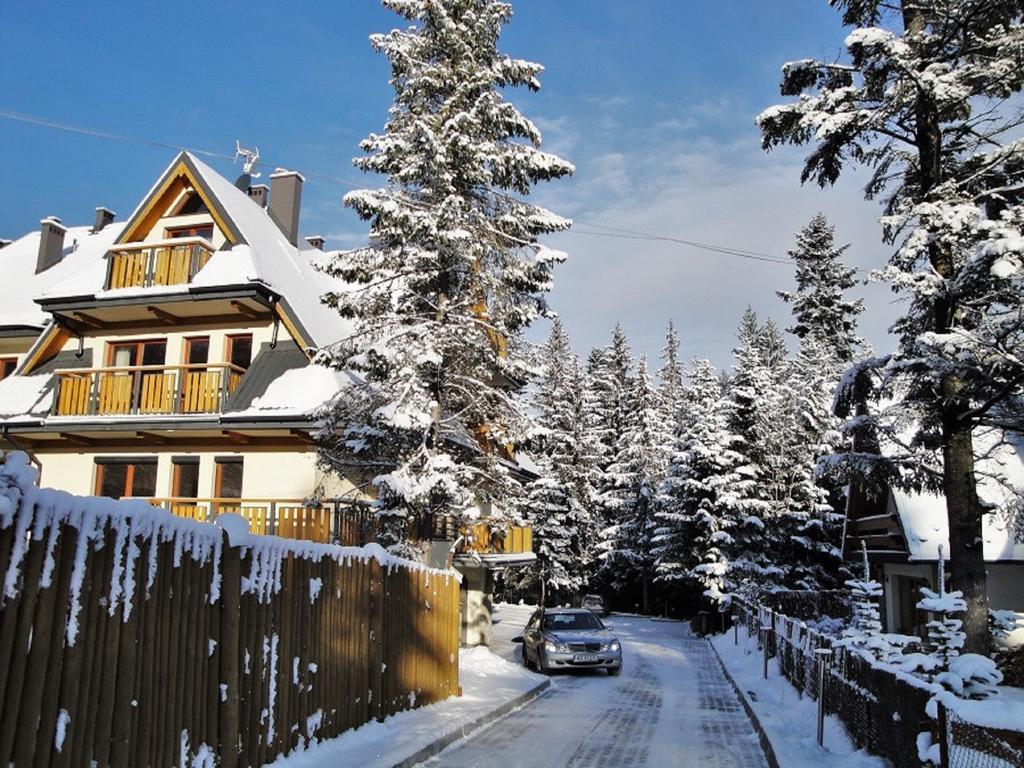 Apartament Egzotyczny Bory 扎科帕内 外观 照片